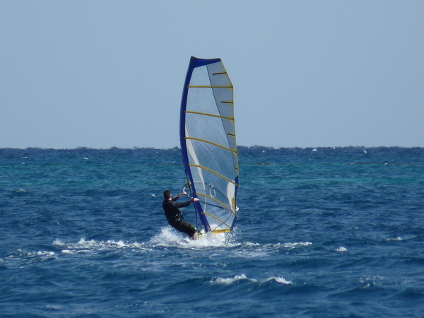 ������ ����