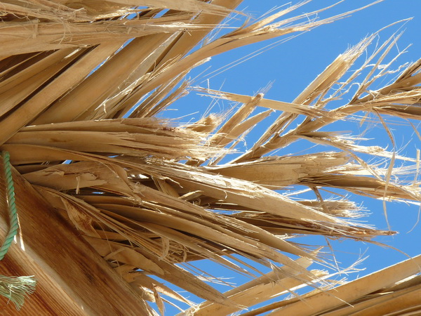 ������ ������������ ����