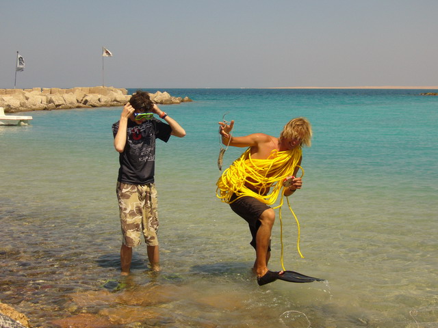 ������ ������