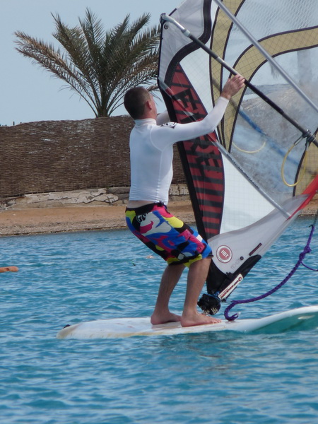 ˸�� �������